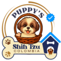 Shih tzu Colombia
